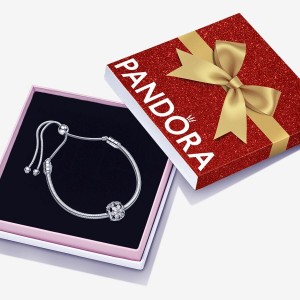 Charm Bracelets Pandora Sparkling Herbarium Gift Set Argent | 1402837-FT