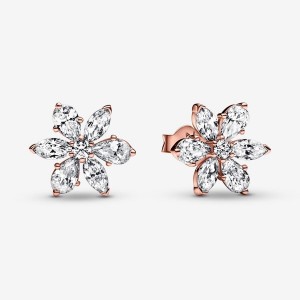 Clous d'Oreilles Pandora Sparkling Herbarium Clusters Rose Doré | 9832516-OS