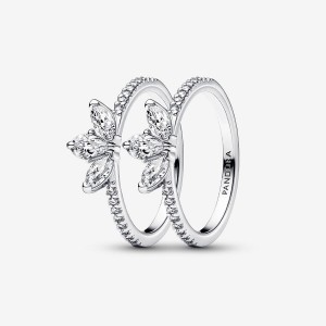 Ensembles De Bagues Pandora Argent | 8496105-YS