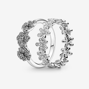 Ensembles De Bagues Pandora Argent | 9376854-PK