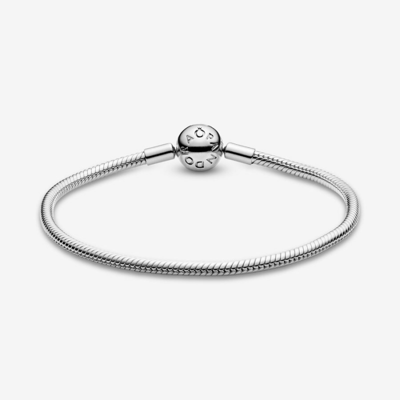 Charm Bracelets Pandora Moments Snake Argent | 8251904-IQ