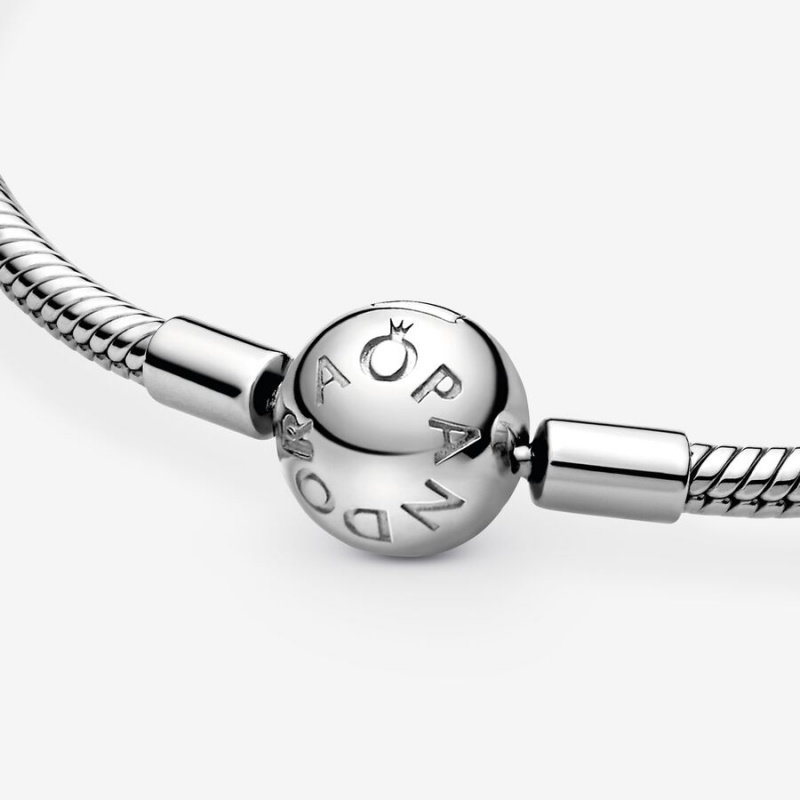 Charm Bracelets Pandora Moments Snake Argent | 8251904-IQ