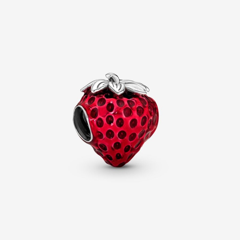 Charm Holders Pandora Argent | 3286405-UW