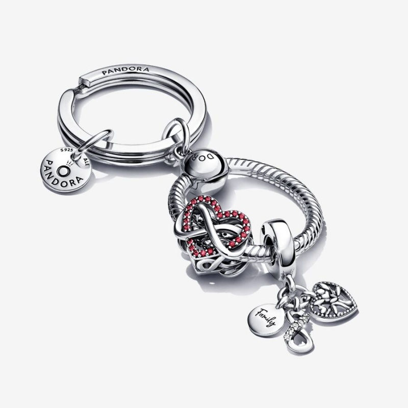 Charm Holders Pandora Argent | 7923406-HR