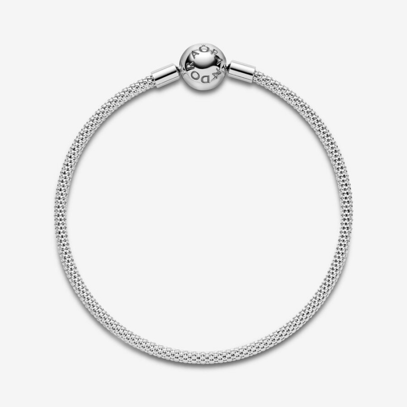 Charm Holders Pandora Moments Mesh Argent | 8392510-EM