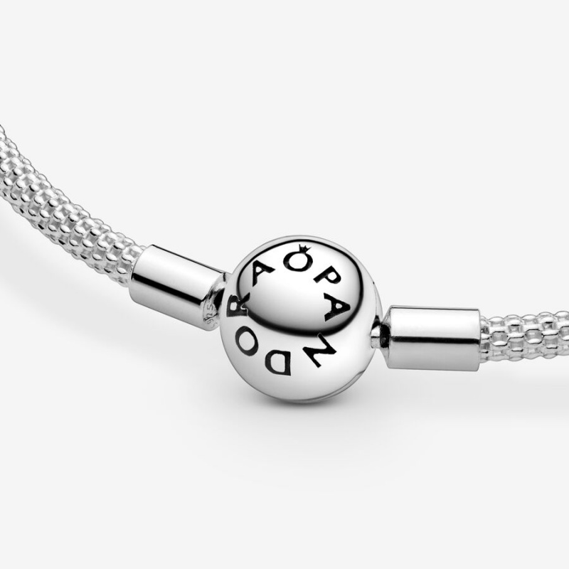 Charm Holders Pandora Moments Mesh Argent | 8392510-EM