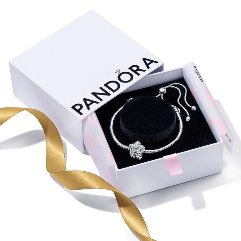 Charm Holders Pandora Sparkling Snowflake Sliding Set Argent | 2765084-PA