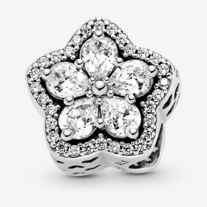 Charm Holders Pandora Sparkling Snowflake Sliding Set Argent | 2765084-PA