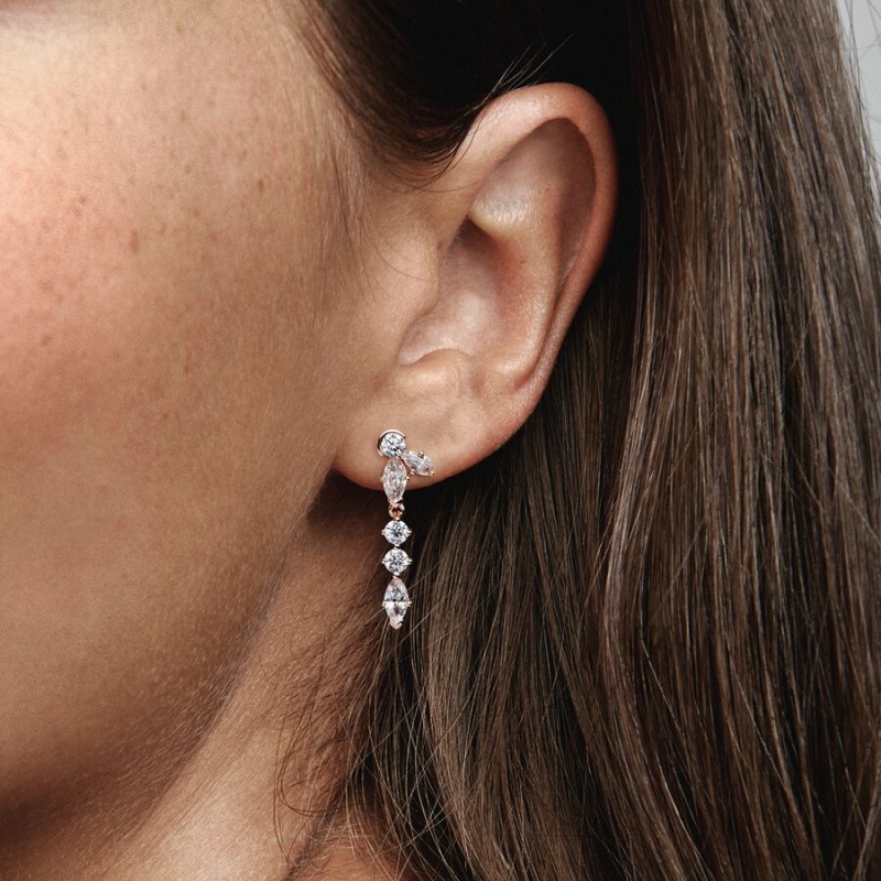 Drop Earrings Pandora Sparkling Herbarium Cluster Rose Doré | 2156879-XU